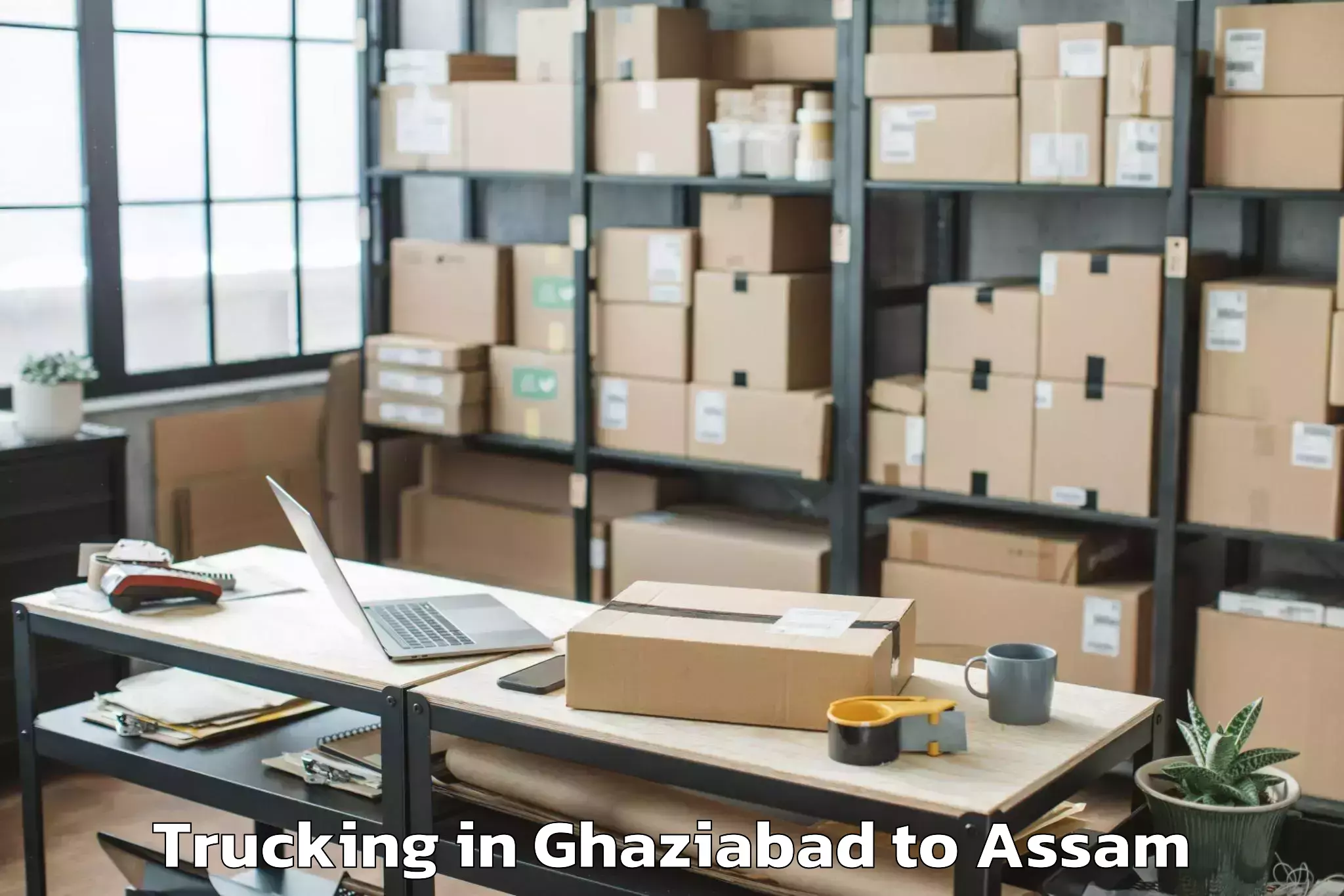 Professional Ghaziabad to Fekamari Trucking